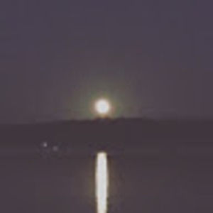 Meet your Posher, Syd